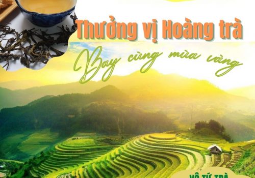 VTT Hoang tra